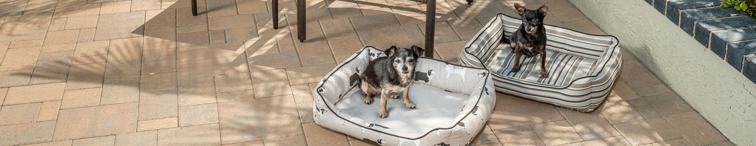 Pet Beds